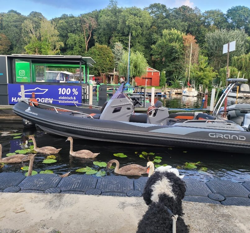 Gebrauchtboot: GRAND G750 HGL mit Sonderausstattung + Evinrude E250 H.O., BJ 2021 mit Kuhz Trailer Gebrauchtboot: GRAND G750 HGL mit Sonderausstattung + Evinrude E250 H.O., BJ 2021 mit Kuhz Trailer